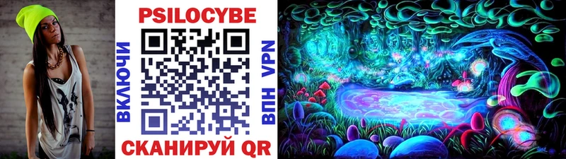 хочу наркоту  Яблоновский  Галлюциногенные грибы Psilocybe 